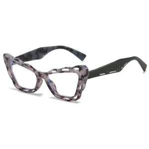 HS2198 Plastic Frame Square Lens Oprah Style Glasses
